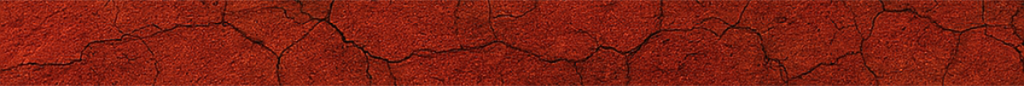 Brick Red Strike Line Divider – bold red line over softened cracked concrete, anchoring urgency and rupture. Accessibility Text: : Divider signaling indictment phase; grounds the page before footer grid, and symbolizes rupture and urgency